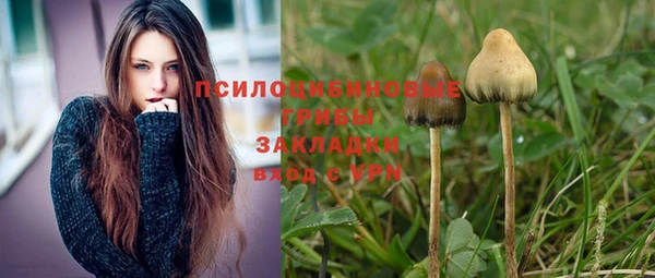 MDMA Пересвет