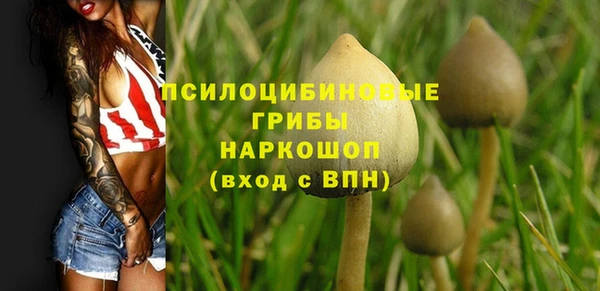 герыч Пестово